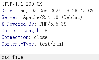 image-20241206002752180